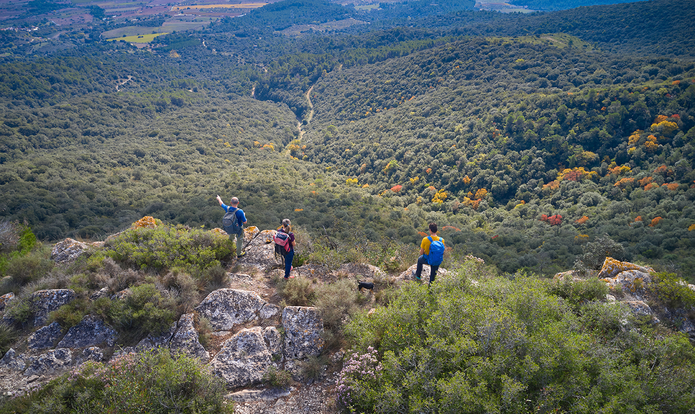 Paisatge sostenible