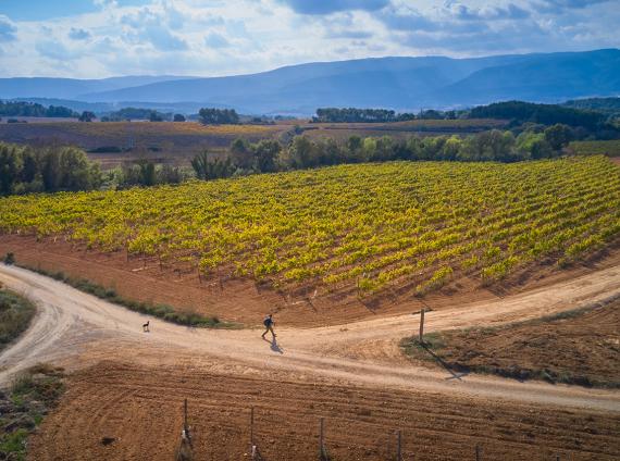 De Prenafeta a Montblanc ©LARUTADELCISTER
