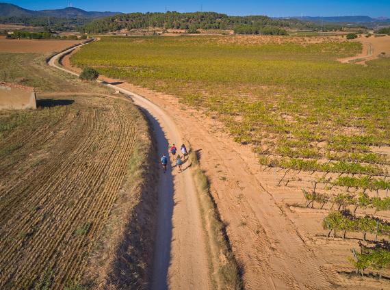 De l'Espluga al Cap del Coll ©LARUTADELCISTER