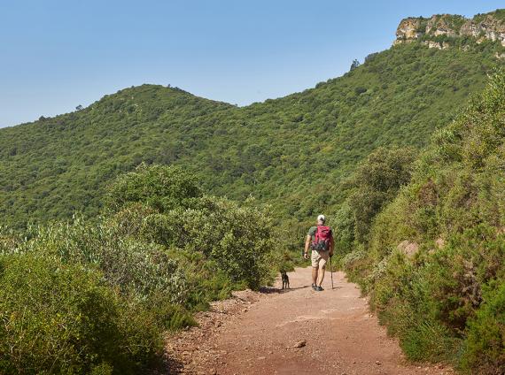 Figuerola del Camp GR175  ©LARUTADELCISTER