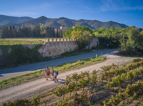 Monestir de Poblet ©LARUTADELCISTER