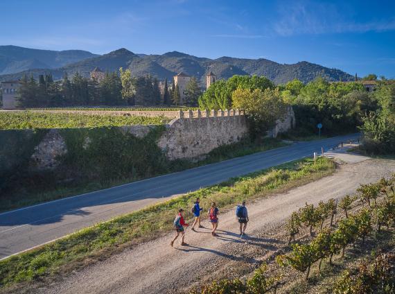 Monestir de Poblet ©LARUTADELCISTER