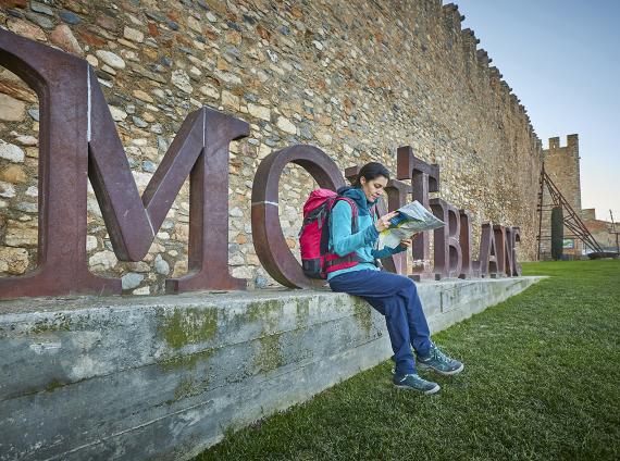 Montblanc ©LARUTADELCISTER 