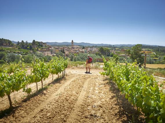 Rocafort de Queralt ©LARUTADELCISTER