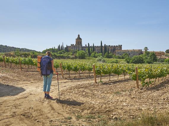 Santes Creus  ©LARUTADELCISTER