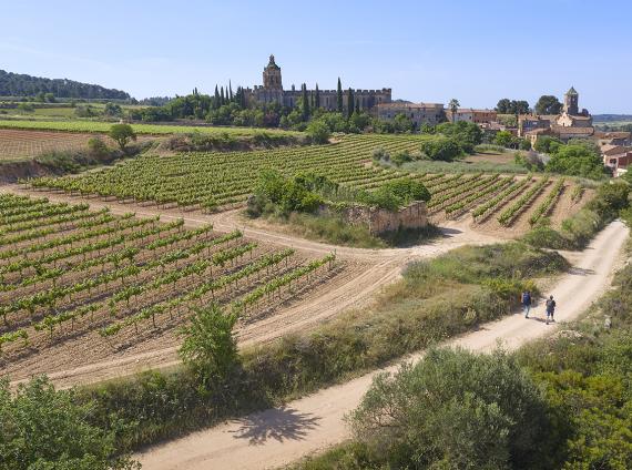 Santes Creus  ©LARUTADELCISTER