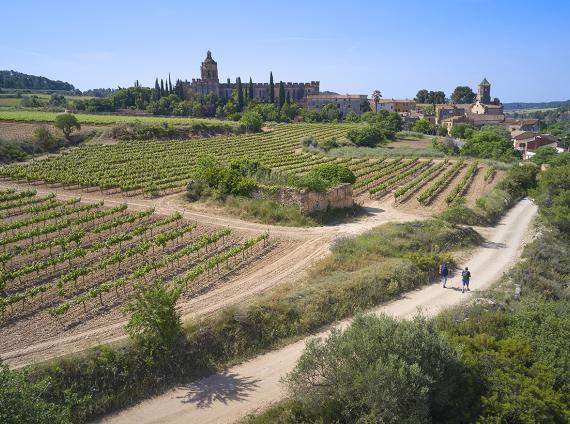 Monestir de Santes Creus GR175  ©LARUTADELCISTER
