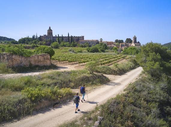 Santes Creus ©LARUTADELCISTER