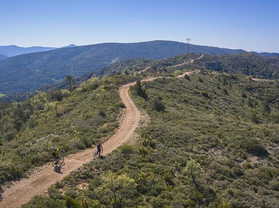 Comaverd - Sarral i Cabra del Camp