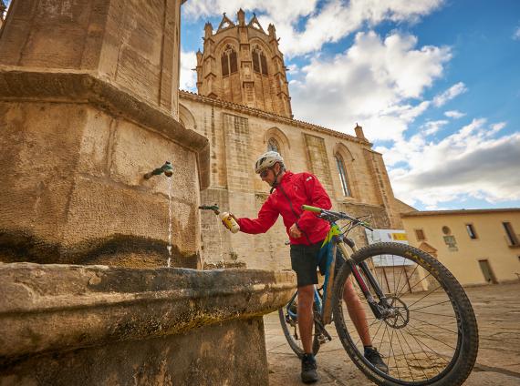 Monestir de Vallbona de les Monges