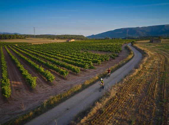 Espluga de Francolí