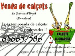 calcots_el_guardia3.jpg