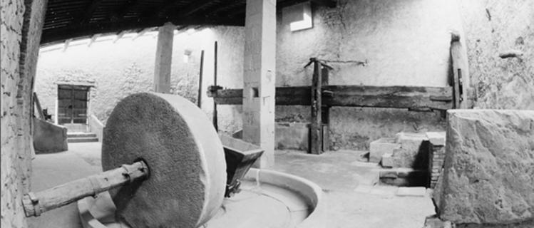  Ancien moulin à huile Maurici Massot de Belianes
