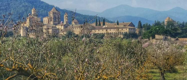 Horaris dels monestirs de La Ruta del Cister per Setmana Santa