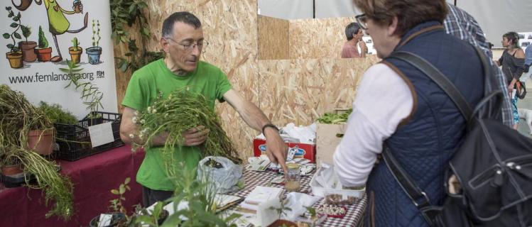 Feria de horticultura en Castellserà