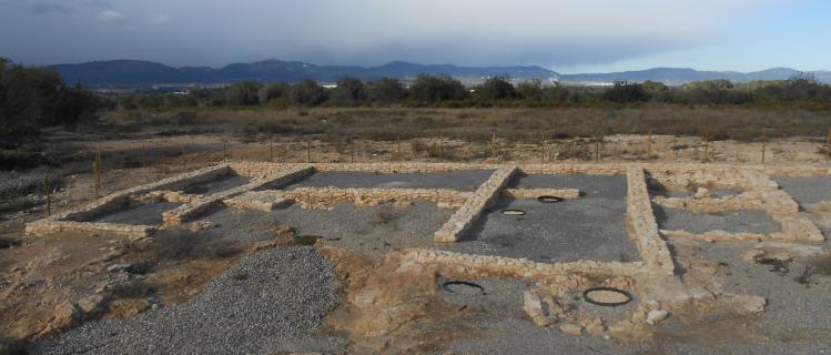 The Iberian site of Rabassats of Nulles 