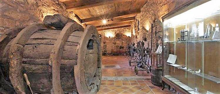 Museu de la vinya i el vi