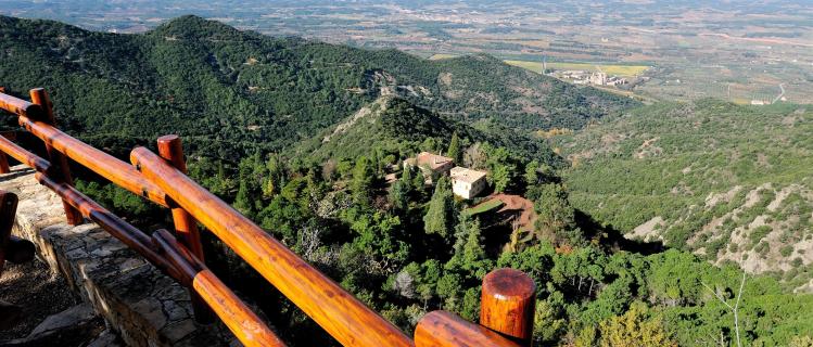 The Prades Mountains and the forest of Poblet
