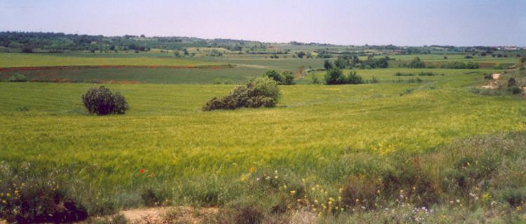 Ribera del Sió (l'Urgell)